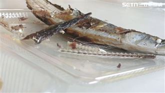魚刺、骨頭是廚餘？正解曝光　丟錯罰6千