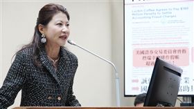 林楚茵質詢。（圖／林楚茵辦公室提供） 