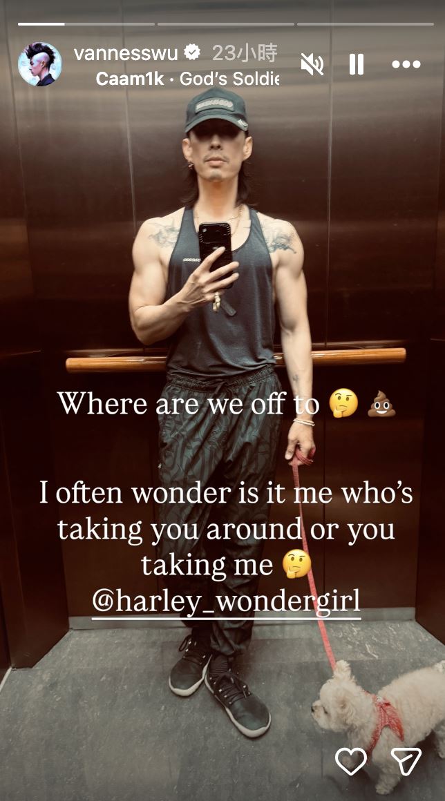 吳建豪近年健身有成，但因拍照模樣暴瘦引起關注。（圖／翻攝自吳建豪IG、小紅書）