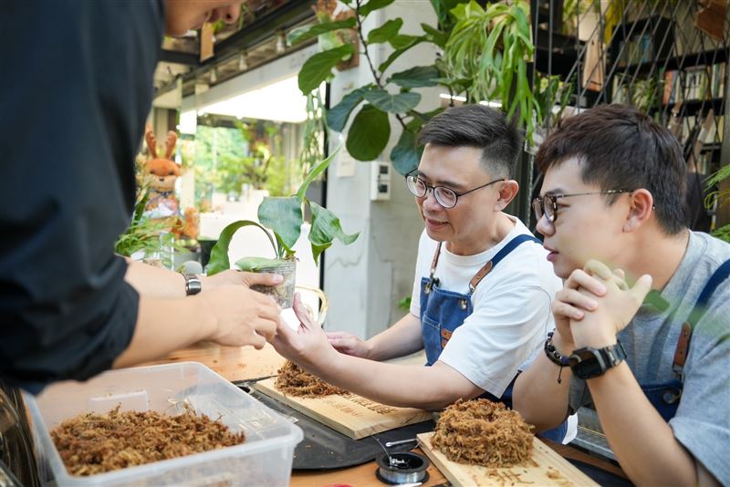 「綠手指」賴瑞隆偕張博洋化身「養鹿人」手作鹿角蕨 提「文創體驗觀光」政見：讓高雄成青年實踐夢想之城