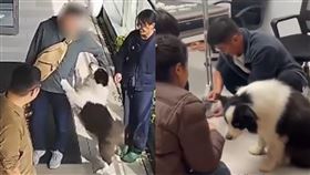 （圖／翻攝自微博）