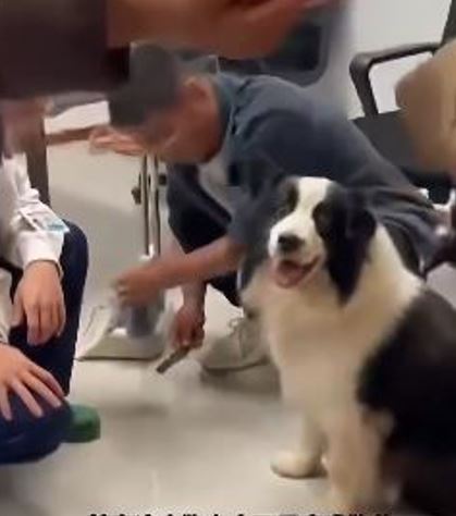 重回主人懷抱，狗狗開心地笑了！（圖／翻攝自微博）