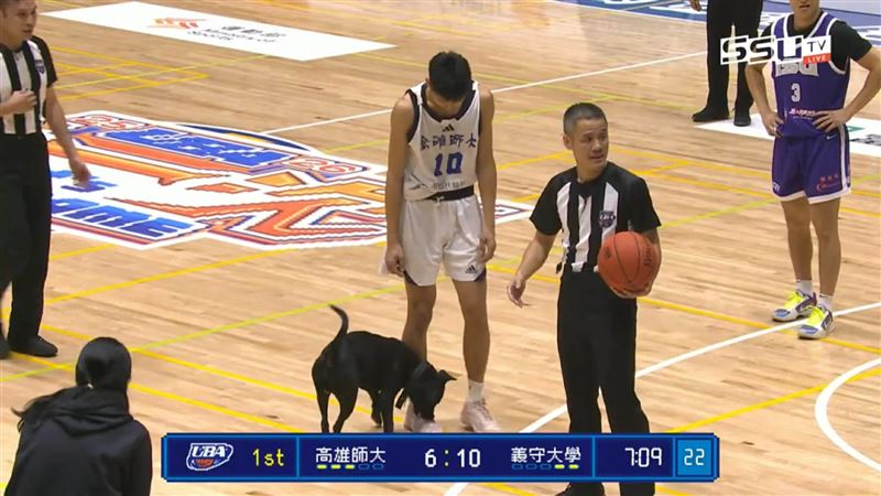 UBA比賽到一半，突然有一隻小黑狗闖入，啃起高雄師大球員蔣杰紘的腳踝與粉紅球鞋。（圖／翻攝自SSUtv Sports YouTube）