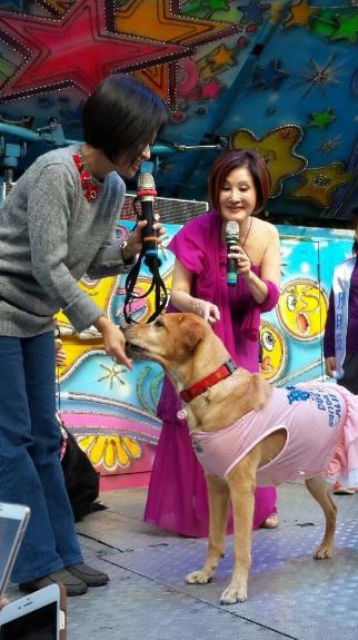 恬娃離開后里秀場。（圖／本人提供）