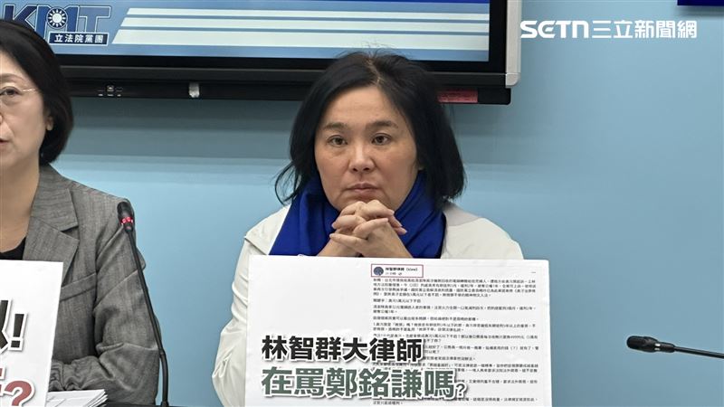 陳玉珍表示，翁曉玲是學有專精的立委，她的提案是立意良善。（圖／記者詹宜庭攝影）