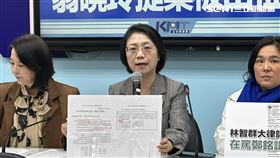 國民黨團召開「雙標再現！法務部修法没問題！翁曉玲提案被出征？」記者會。（圖／記者詹宜庭攝影）