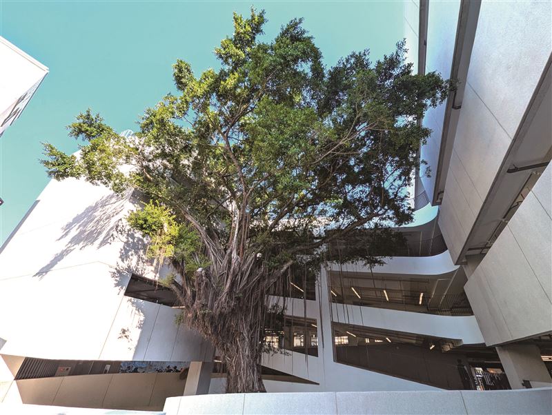 青年路停E8立體停車場位於東區與中西區交界處，保留原有老榕樹並增植綠化，同時融合神學院景觀