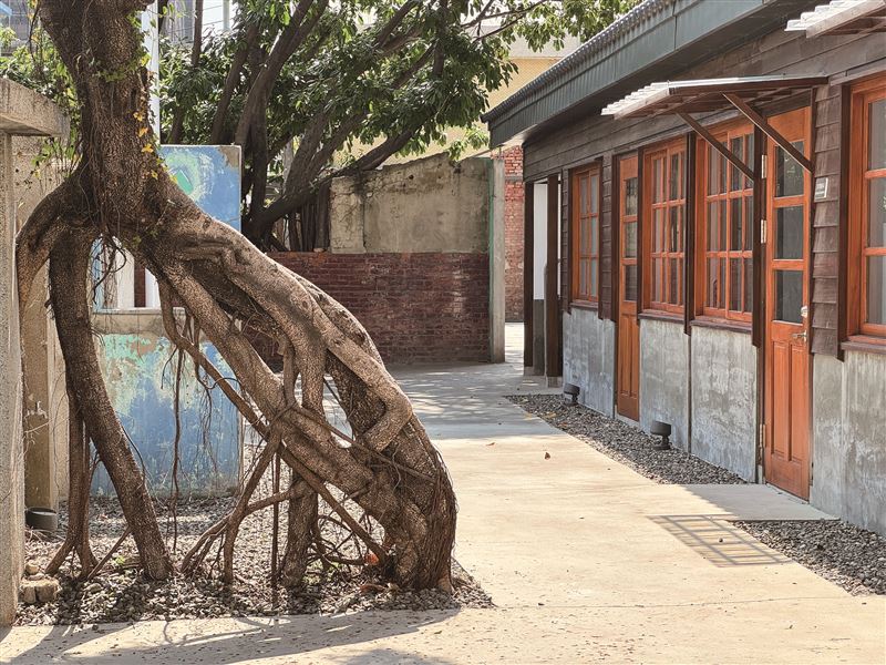 文化局將保留下來的2棟眷舍啟動修復，拆除部分圍牆與違建、保留原有老樹，並置入多種機能場域