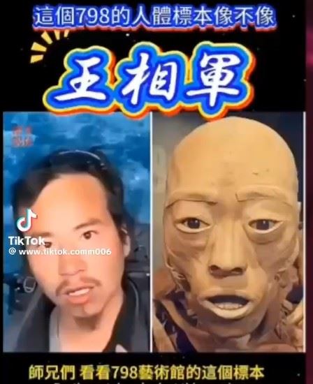 有人聲稱王相軍的遺體被製成標本，現身北京798藝術區，引發粉絲與外界強烈震驚。（圖／翻攝自@www.tiktok.comm006 TikTok）