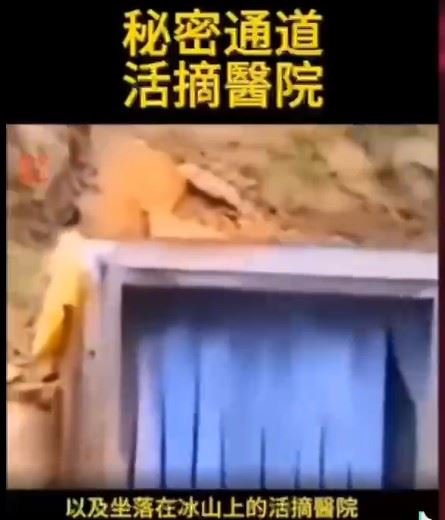 王相軍生前拍到的疑點不只如此，包括祕密採礦洞被武力阻止、質疑藏尼邊境存在祕密通道。（圖／翻攝自TikTok）