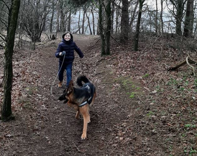勞倫．西蒙不時會分享與狗散步、游泳、或接受採訪的生活片段。（圖／翻攝自Laurent Simons IG）