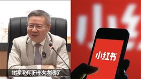 復旦大學教授張維為曾宣稱，不少台灣年輕人愛用小紅書，他相信統一台灣後「會比治理香港還要容易」。（圖／翻攝自Pixabay、張維為微博）

