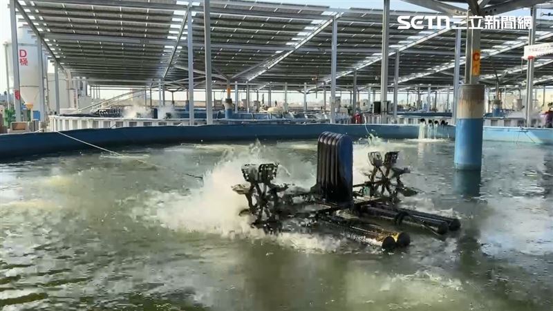 口湖漁業合作社表示接受高雄市衛生局道歉，因衛生局承諾負責，為了避免浪費社會資源，目前暫不提國賠。（圖／翻攝畫面）