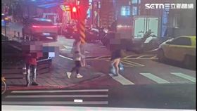 北市游女丟棄2袋貓屍，裡面裝有9隻幼貓及3隻成貓。（圖／翻攝畫面）