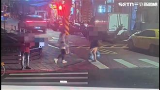 北市婦2袋垃圾飄異味　警清點有12具貓屍