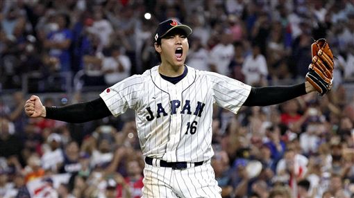 沒有二刀流了　羅伯茲曝大谷WBC只打不投