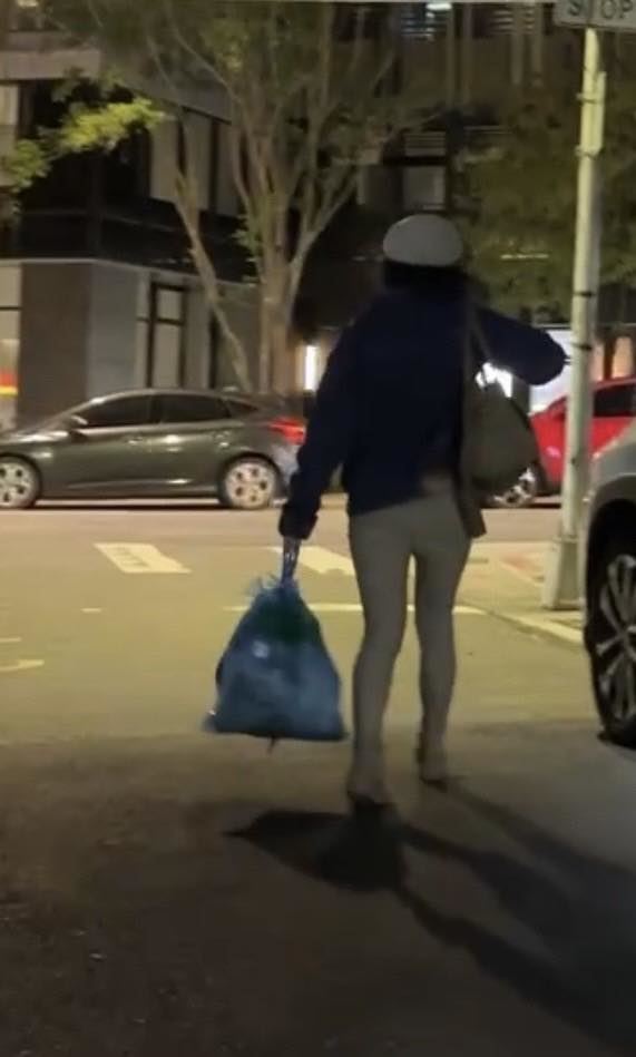 北市信義區游姓女子倒垃圾時被旁人發覺垃圾袋傳出異常臭味，經查發現內有貓屍，警方與動保處在木柵焚化爐搜出另一袋垃圾，內有9隻幼貓及1隻成貓屍體。（圖／翻攝自許淑華臉書）