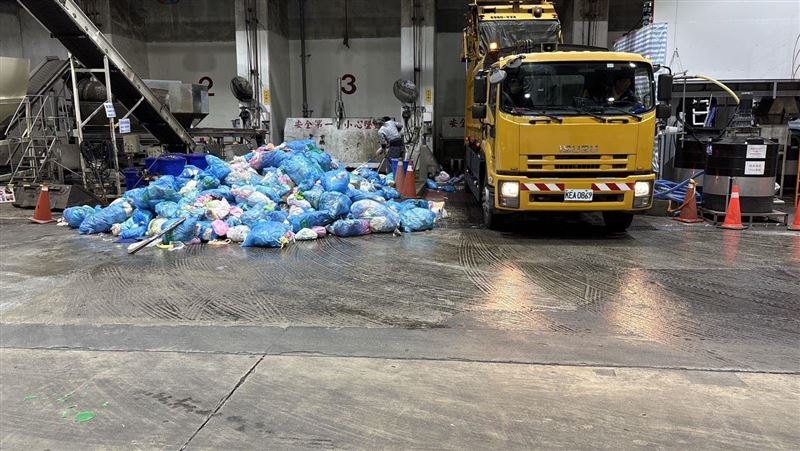 信義區28歲女虐死14隻貓！焚化場找回屍體