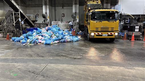 信義區28歲女虐死14隻貓！焚化場找回屍體