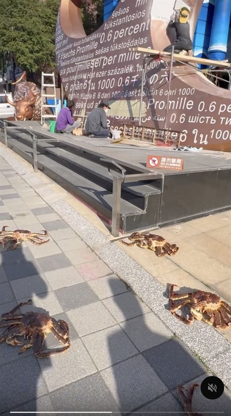 江海大樓前的人行道上出現10隻帝王蟹。（圖／翻攝自Threads）