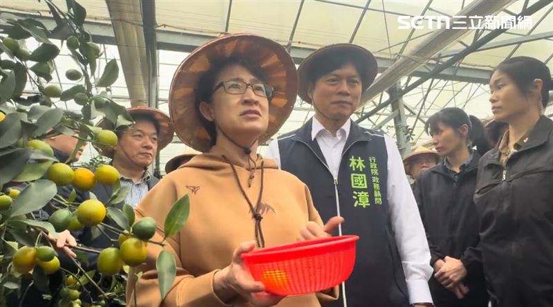 蕭美琴與林國漳前往金桔農園，瞭解農民需求。（圖／林國漳辦公室提供）