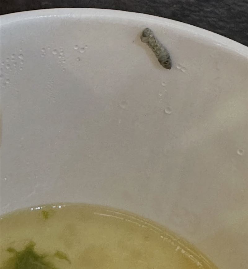 愛雅險些將菜蟲吃下肚。（圖／翻攝自愛雅IG）