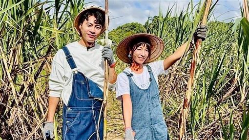 男星結婚3年突鬆口想當爸　關鍵主因曝光