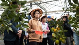 副總統蕭美琴5日赴宜蘭視察，卻接連發生兩起員警執行交管勤務遭遇車禍事件（圖／總統府提供） 