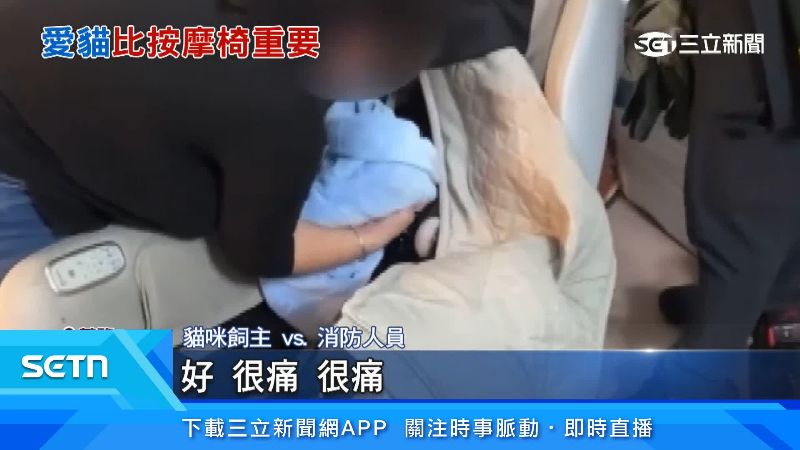 貓咪飼主出面說明