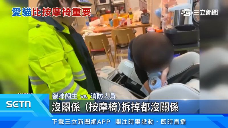 貓咪飼主出面說明