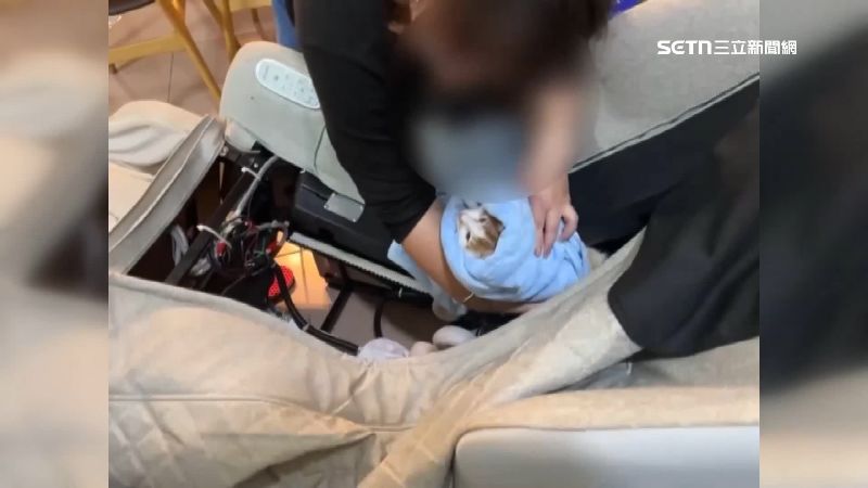 幼貓卡在按摩椅中