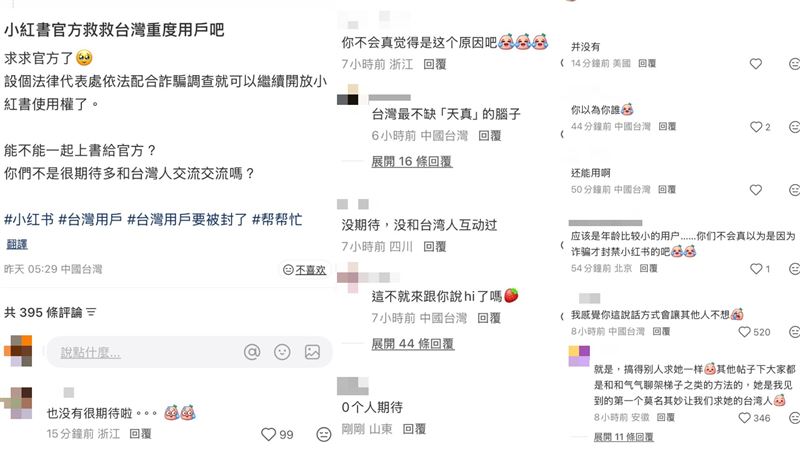 網友自嗨衝小紅書求救「你們不是也想和台灣人交流」,慘遭中國人打臉。(圖/翻攝自Threads)