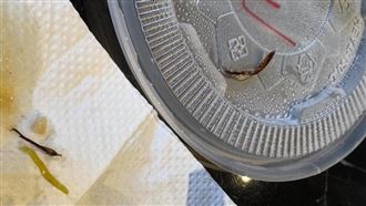 吃麵咬到蟑螂腳！離譜退75元　衛生局稽查