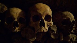 足球場驚見「465袋人屍」！背後兇手曝光