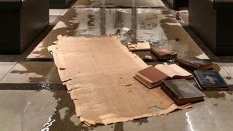 才遇竊案　羅浮宮又漏水損壞數百埃及館藏