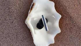 Beo Grace靈感來自高級珠寶的優雅。（圖／品牌業者提供）