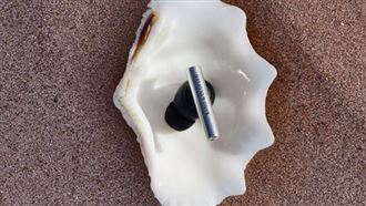 奢！B&O入耳式耳機Beo Grace　售價破4萬