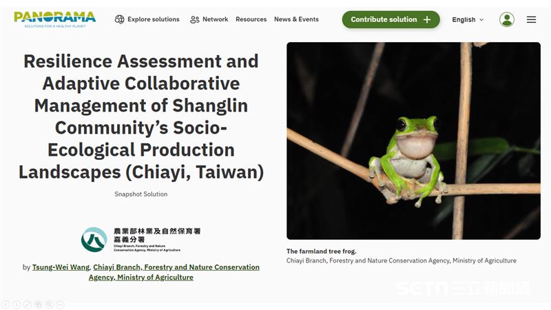 林業保育署嘉義分署以其成功的在地實踐，將引導社區參與諸羅樹蛙保育的經驗提升至國際舞台，該案例的保育尺度與社區協作模式，榮獲全球知名的生態與永續發展解決方案平台「健康地球解方（PANORAMA）」刊登。（圖／嘉義分署授權提供）