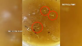 文  乾香菇長蟲1800