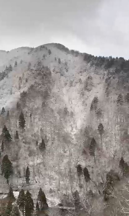 崔佩儀旅遊不受影響,前往秋田分享沿途美景。(圖/本人提供)
