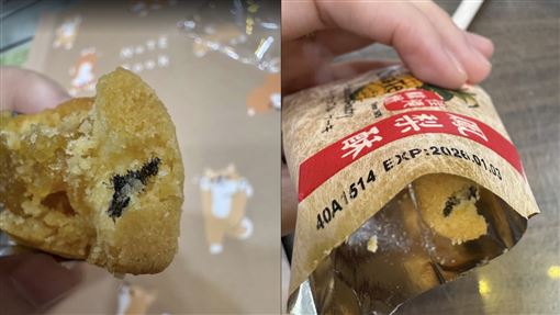 佳德鳳梨酥藏「黑色異物」挨轟擺爛不處理