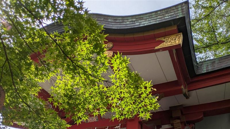 日本少子化　傳統兒童節日給狗狗穿和服