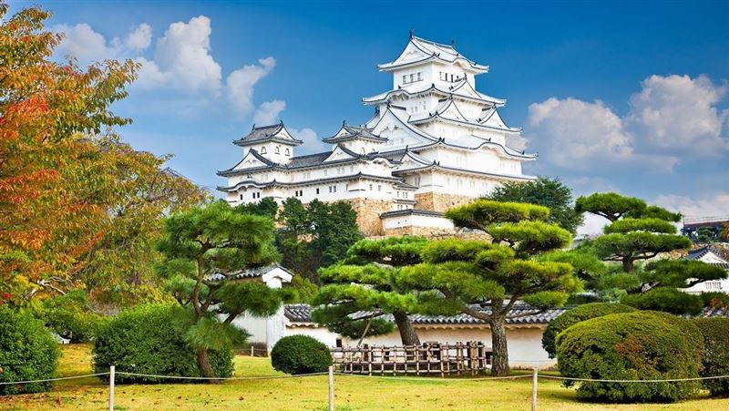 12點開搶 長榮日本神戶機票6666元