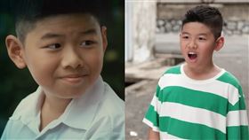 人氣童星葉子誠離世得年25歲，馬來西亞漫畫家徐有利透露其「真正死因」。（圖／翻攝自臉書）