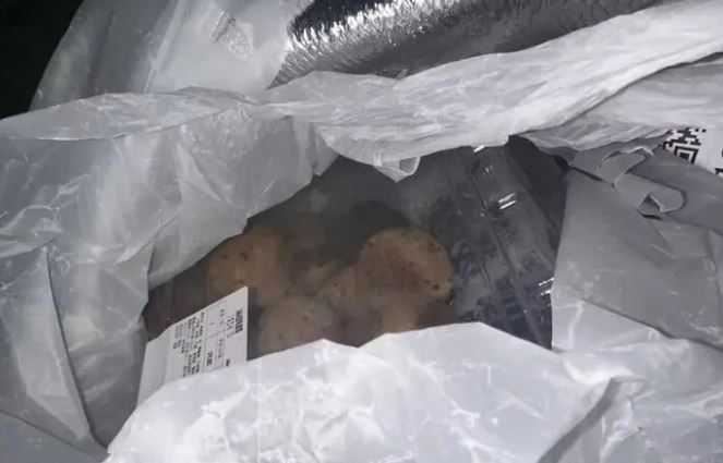 「活體老鼠麻糬」消息曝光後,立刻在社交平台快速傳播登榜首。(圖/翻攝自微博)