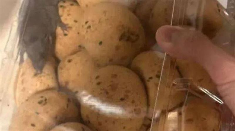 高檔超市驚爆「活老鼠麻糬」 消費者懵了