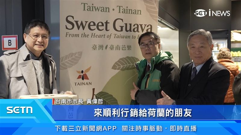 不只芭樂，還有台南的金鑽鳳梨，也讓荷蘭人相當驚艷