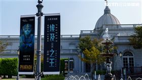 台南,奇美博物館,埃及之王（圖／館方提供）