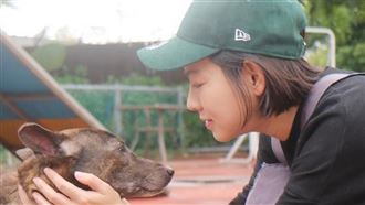 米可白639字再戰鍾東錦 心痛毛孩遭割聲帶