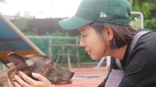 米可白639字再戰鍾東錦 心痛毛孩遭割聲帶